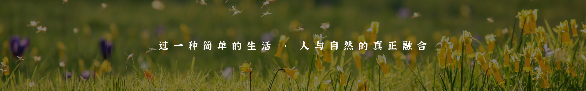 预定中心